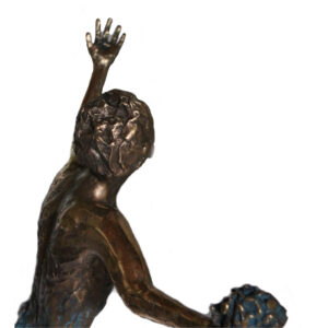 david